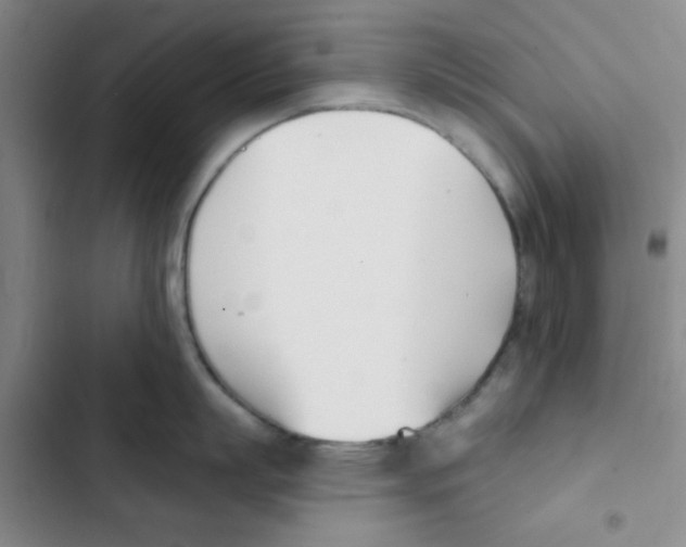 X0000102870863200809151233