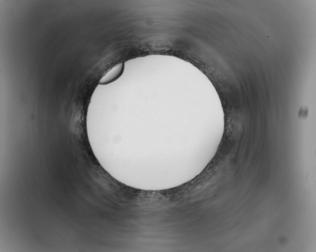 X0000102870866200809151233