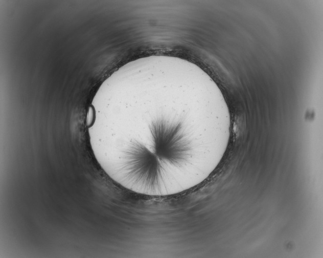 X0000102870867200809151233
