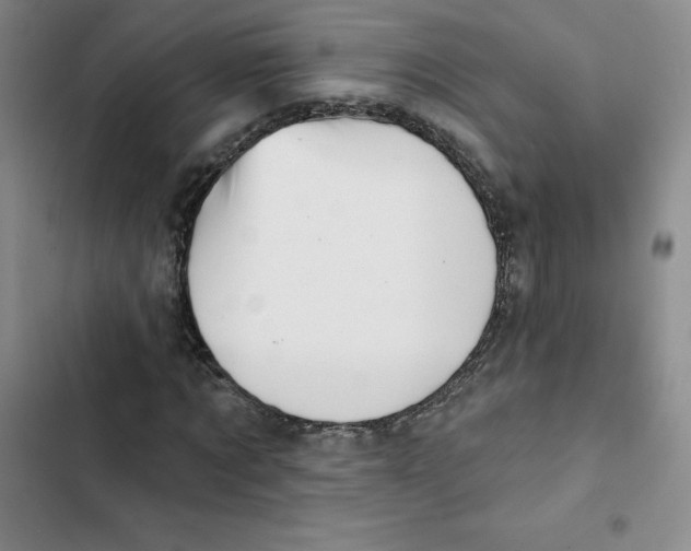 X0000102870869200809151233