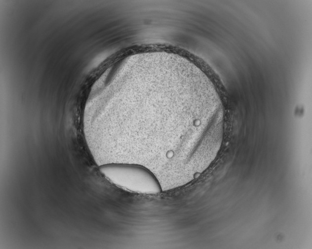 X0000102870871200809151233