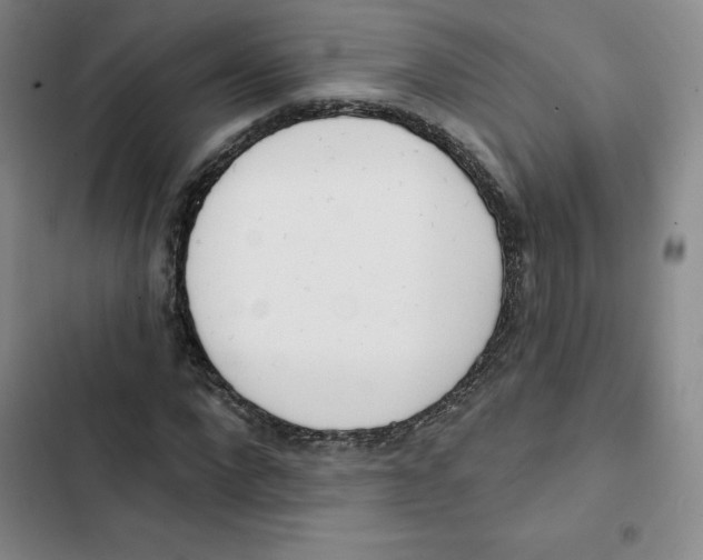 X0000102870872200809151233