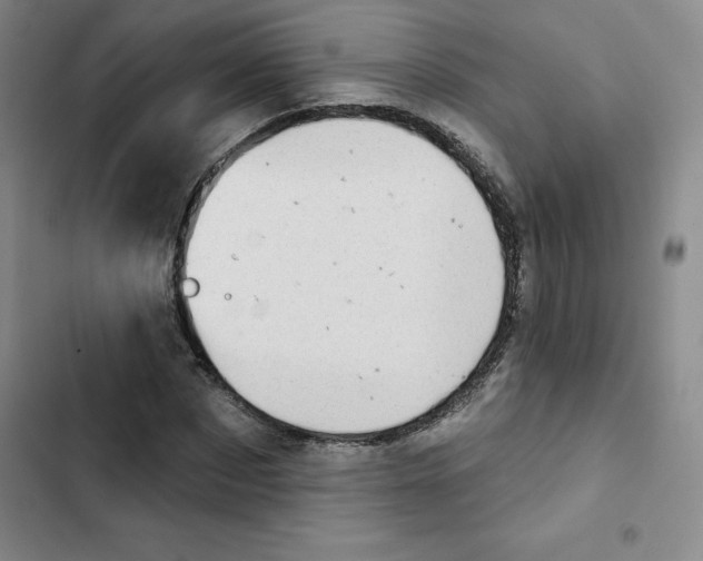 X0000102870873200809151233