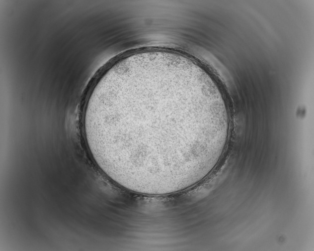 X0000102870875200809151233