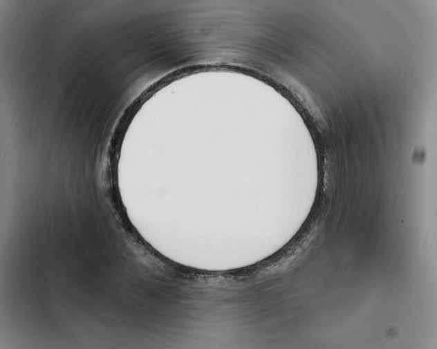 X0000102870876200809151233