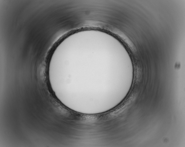 X0000102870878200809151233