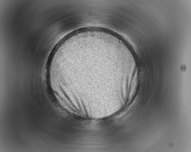 X0000102870879200809151233