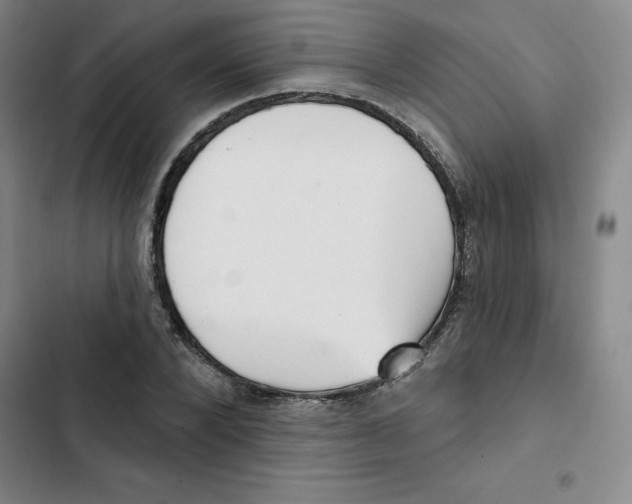 X0000102870880200809151233