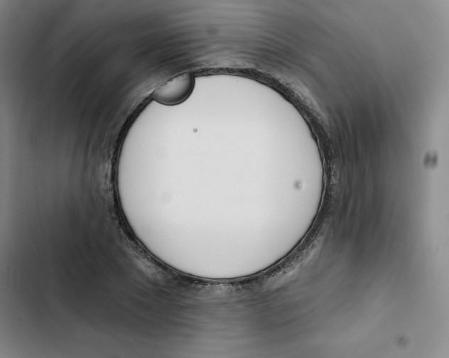X0000102870881200809151233