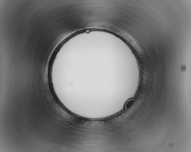 X0000102870884200809151232
