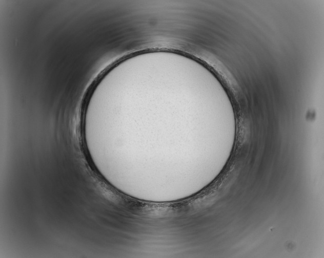 X0000102870886200809151232