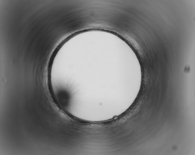 X0000102870888200809151232