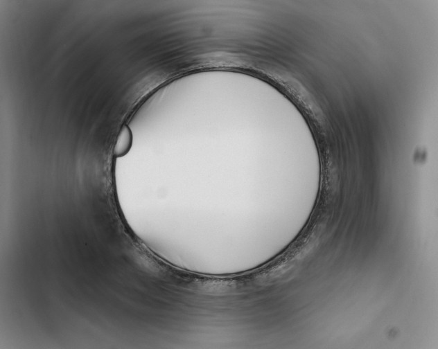 X0000102870889200809151232