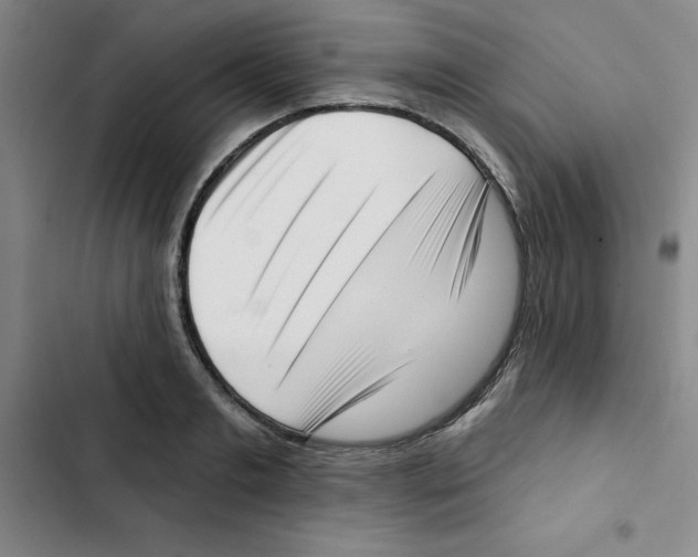X0000102870893200809151232