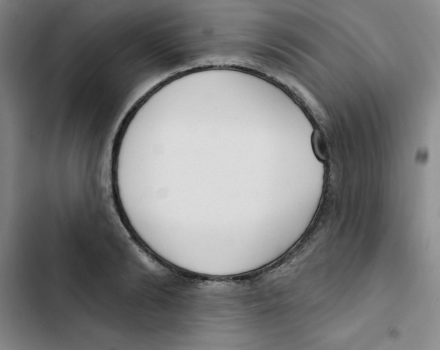 X0000102870894200809151232