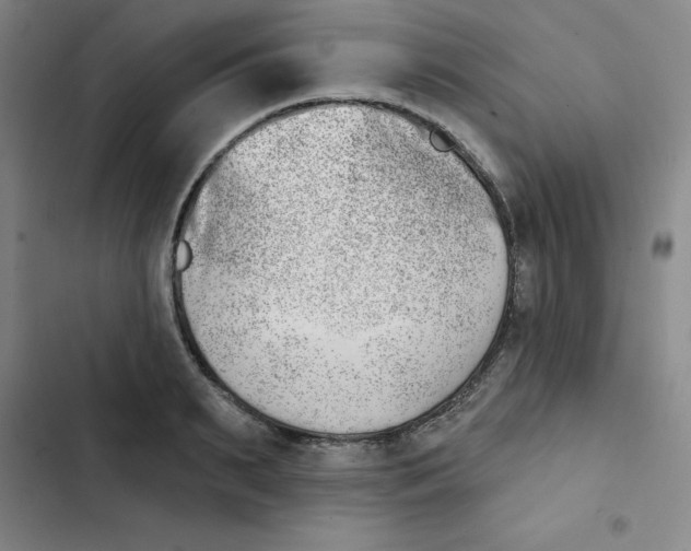 X0000102870895200809151232