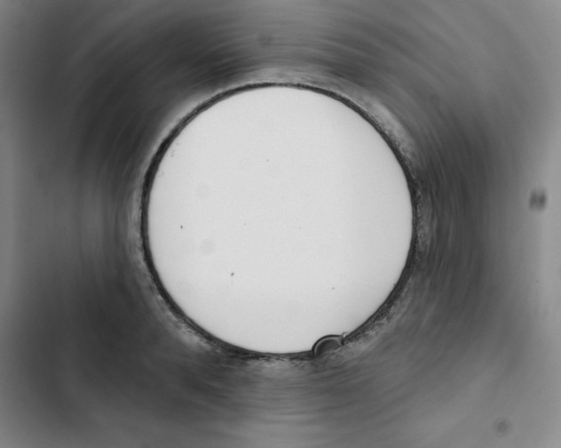 X0000102870896200809151232