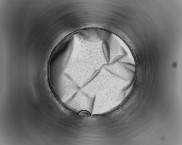 X0000102870898200809151232