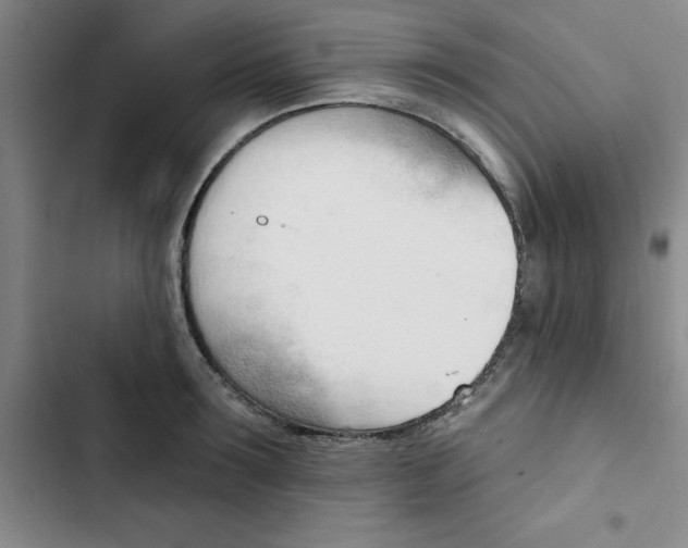 X0000102870899200809151232
