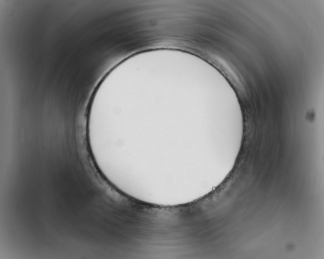 X0000102870900200809151232