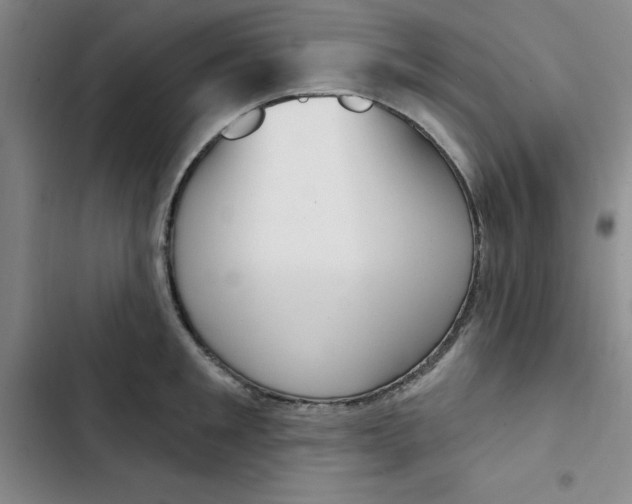 X0000102870901200809151232