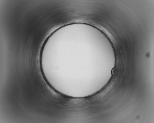 X0000102870902200809151232
