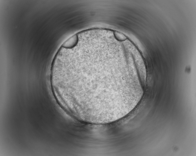 X0000102870903200809151232