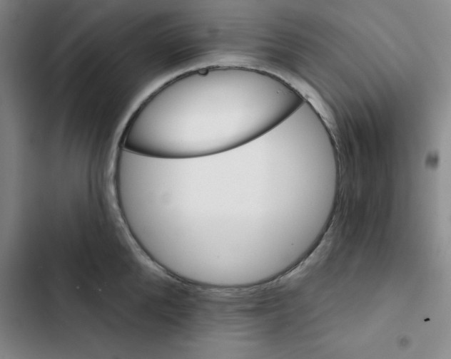 X0000102870904200809151232