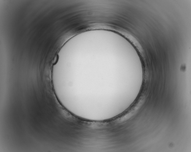 X0000102870905200809151232
