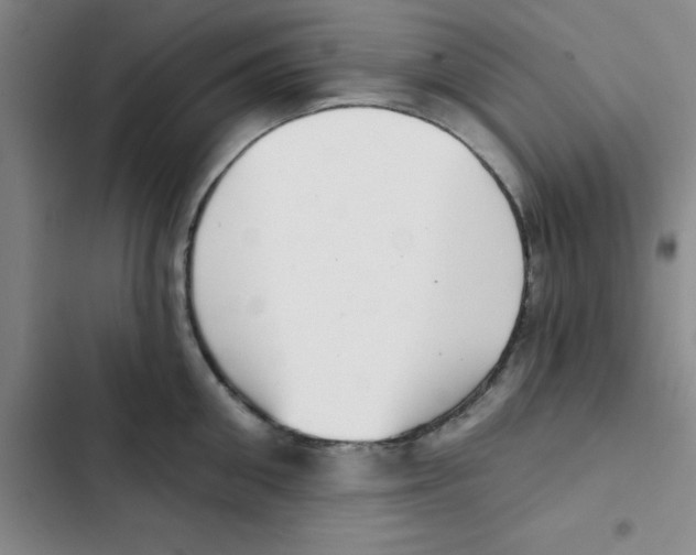 X0000102870906200809151232