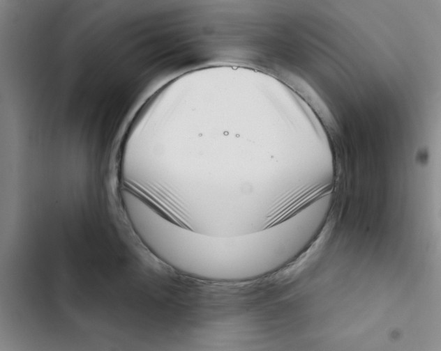X0000102870908200809151232