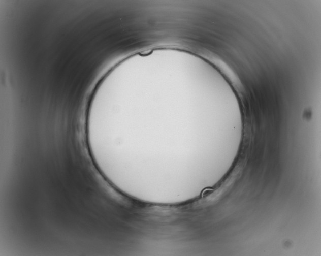 X0000102870910200809151232