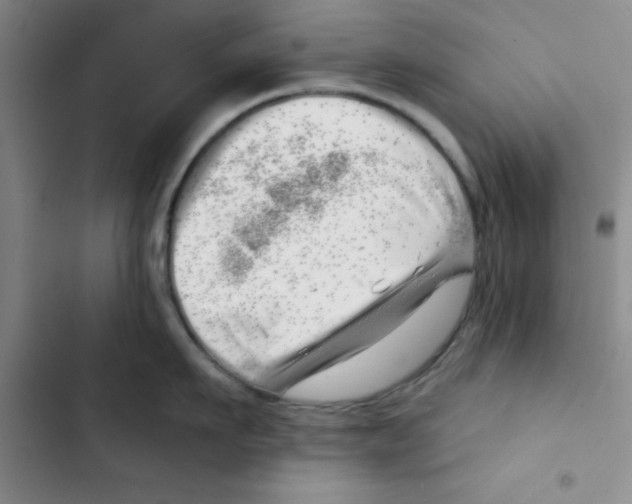 X0000102870911200809151232