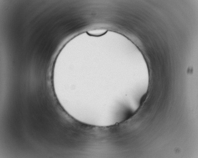 X0000102870912200809151232