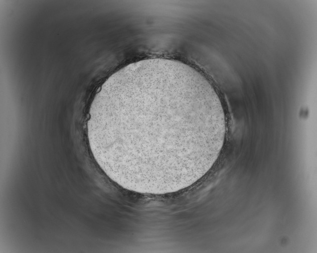 X0000102870913200809151231
