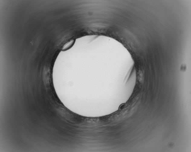 X0000102870915200809151231