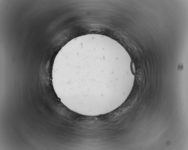 X0000102870916200809151231