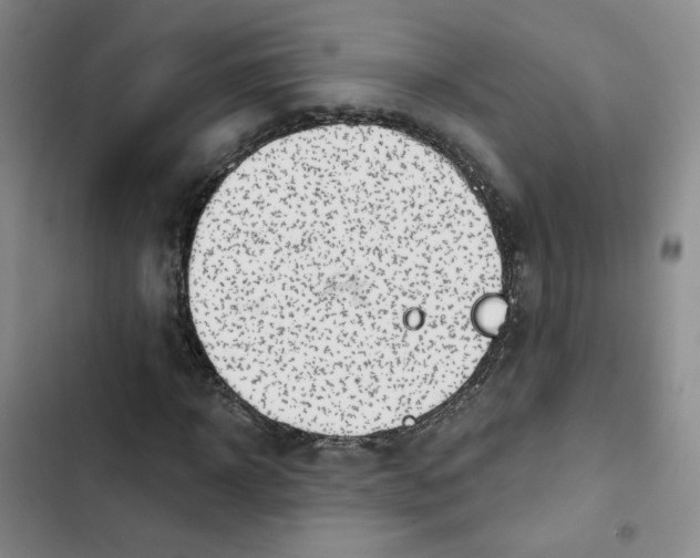 X0000102870918200809151231