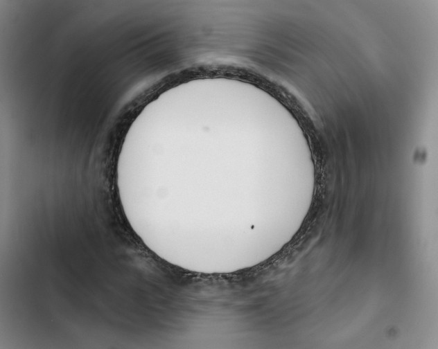 X0000102870919200809151231