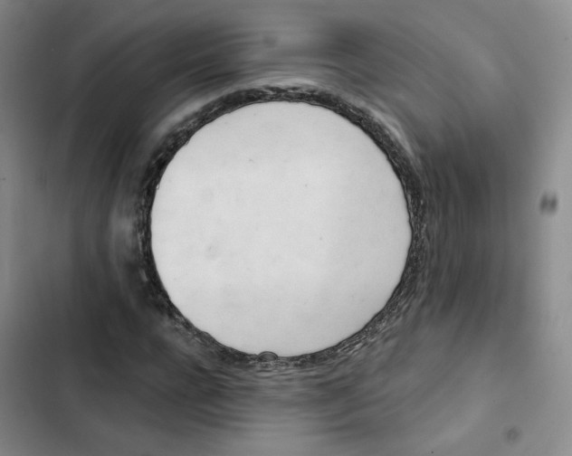 X0000102870920200809151231