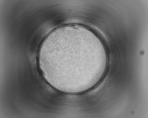 X0000102870921200809151231