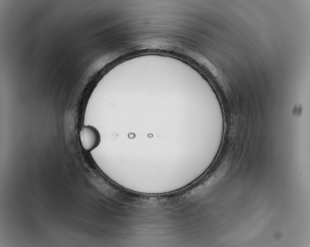 X0000102870922200809151231