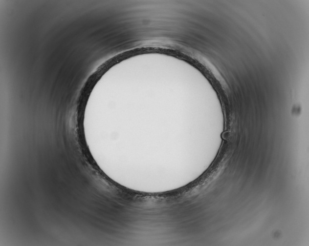X0000102870923200809151231
