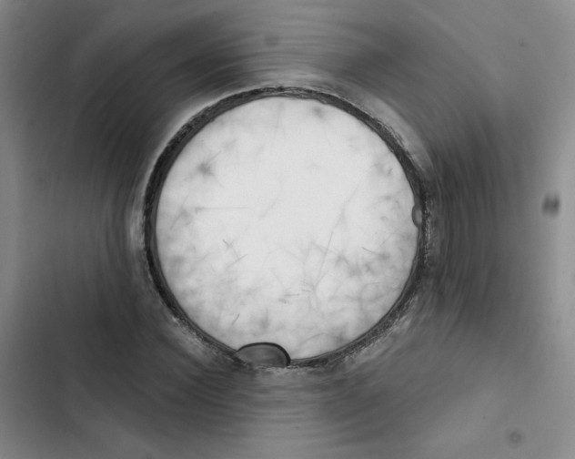 X0000102870924200809151231