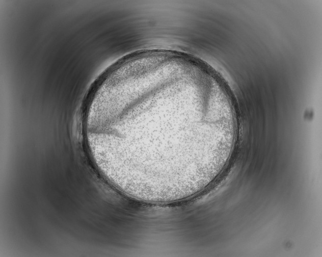 X0000102870925200809151231