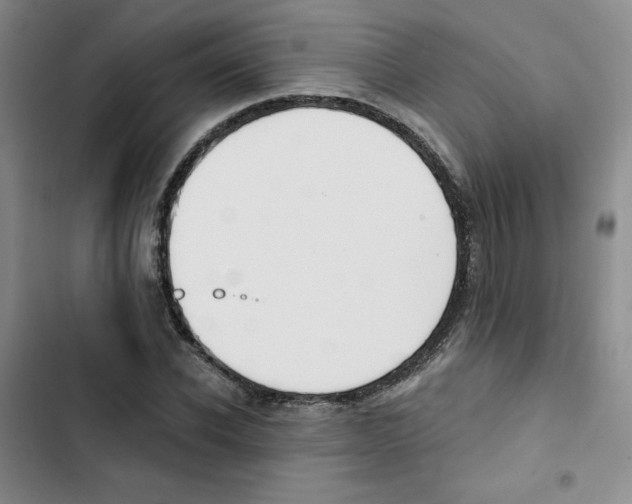 X0000102870926200809151231
