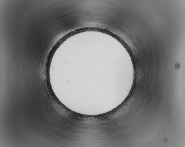 X0000102870927200809151231