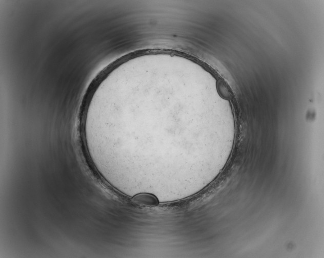 X0000102870928200809151231