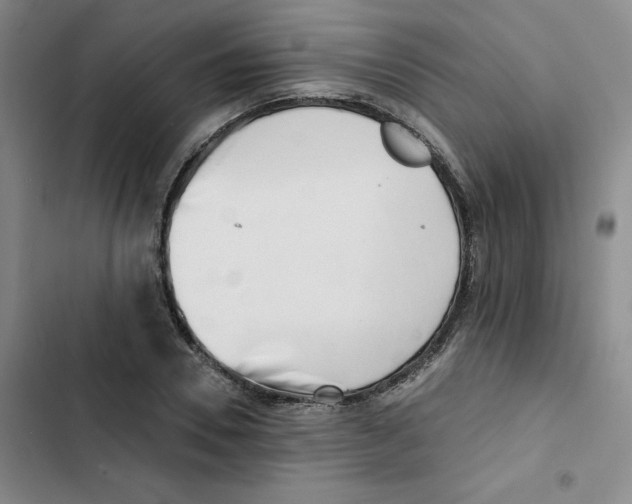 X0000102870930200809151231