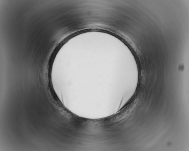 X0000102870931200809151232